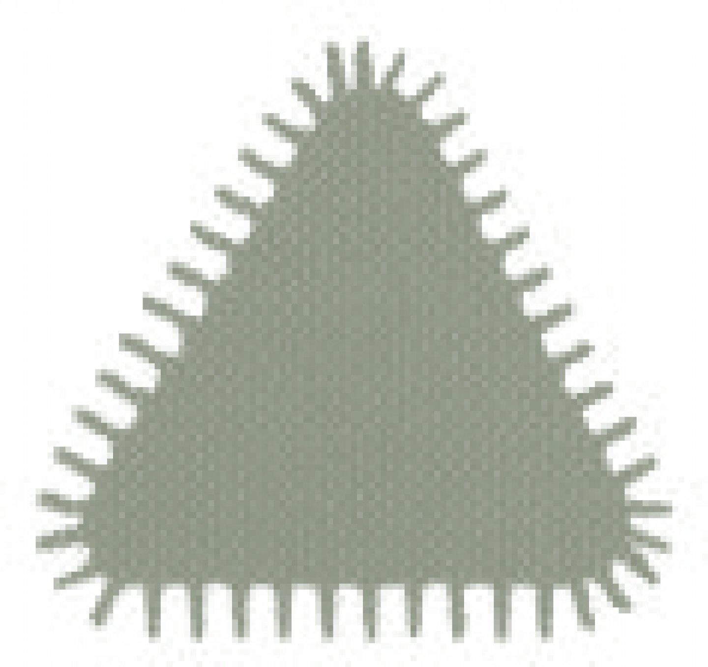 Tiers point effilé manche bois sur carte 02