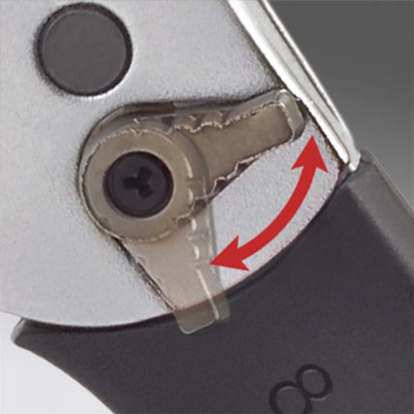 Clé à molette à effet cliquet 10’’ 03