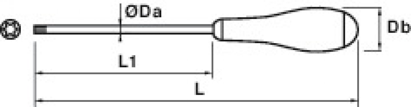 Tournevis torx 02